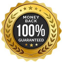 MemoSpark Guarantee